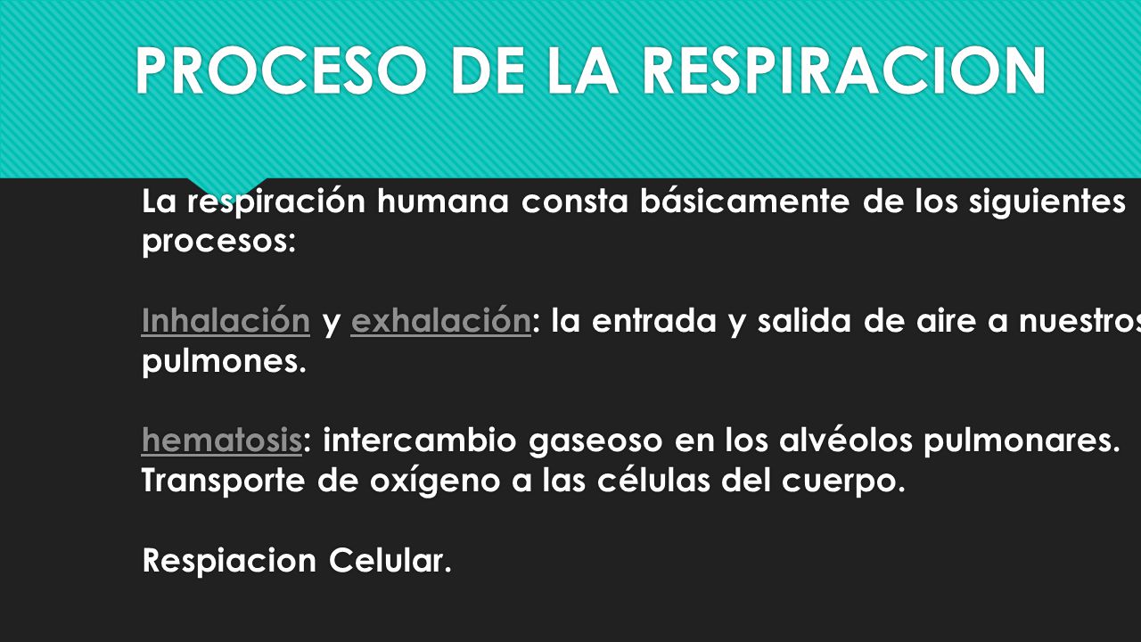 En que casos duele el vientre y los riñones